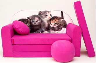 Obrázek z Dětská pohovka s bobkem a polštářkem Koťátka - růžová H6+