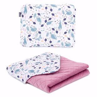 Obrázek Dětská deka s polštářem Volavky Velvet Premium 75x100 cm - různé varianty