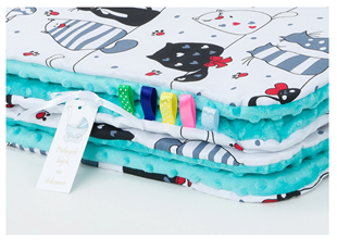 Obrázek Dětská deka Kočičky Minky 75x100 cm - různé barvy a varianty